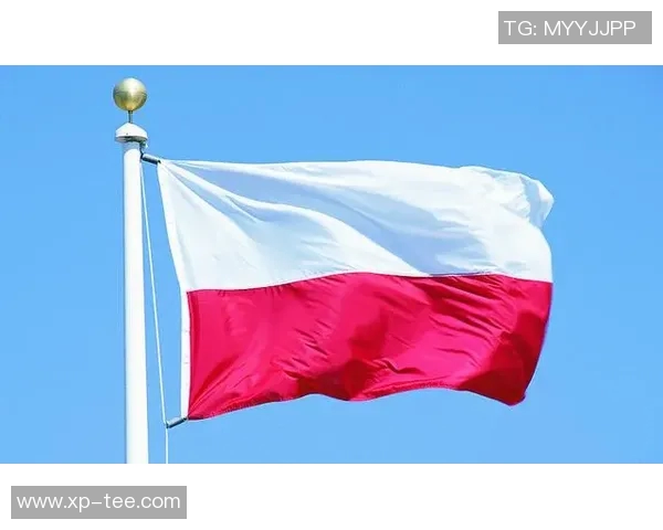 广州乒乓球队逆袭之旅揭秘世界锦标赛背后的奋斗与荣耀